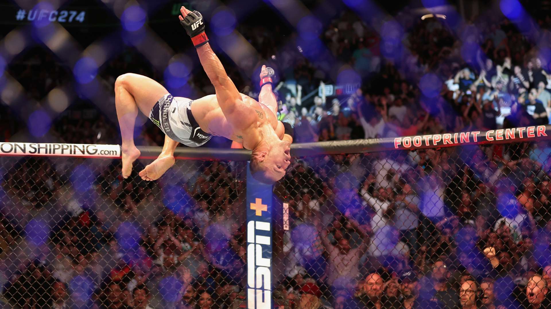 拉菲尼亞在 拉菲尼亞在