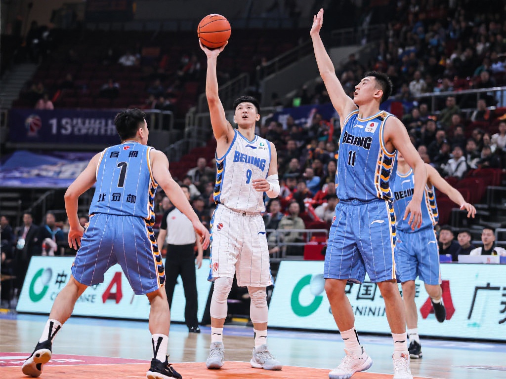 鲜明对比的 鲜明对比的